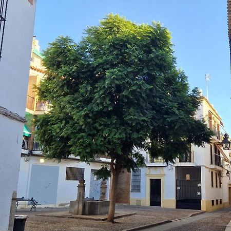 Ferienwohnung Terraza De La Axerquia Córdoba Exterior foto