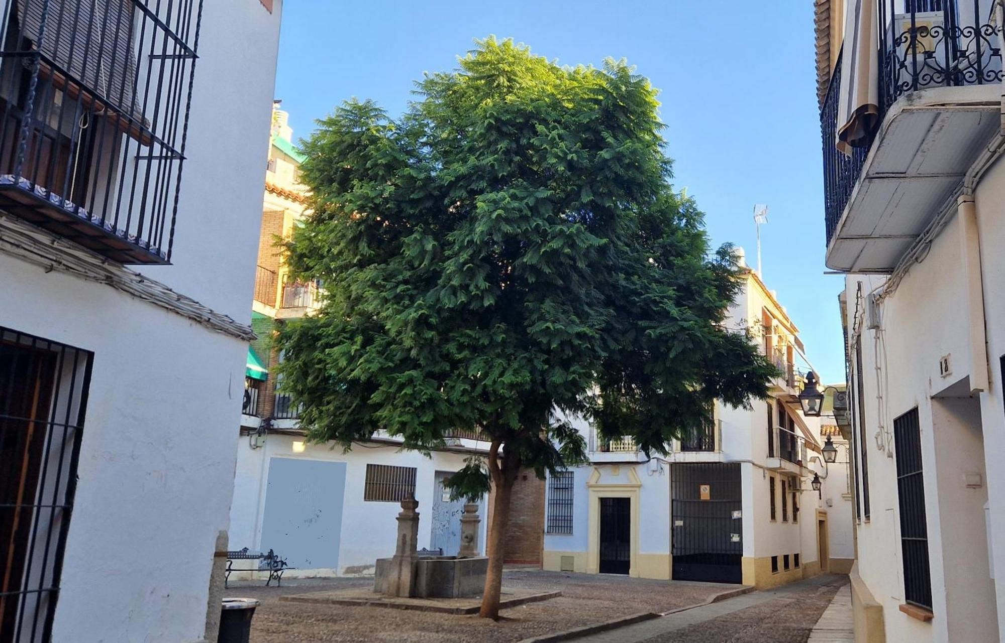 Ferienwohnung Terraza De La Axerquia Córdoba Exterior foto